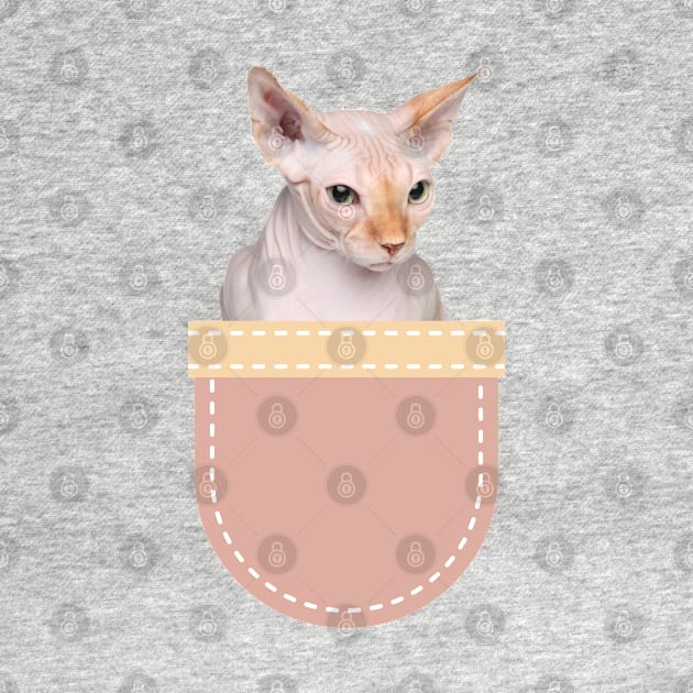 Sphynx Cat in Pocket by leBoosh-Designs